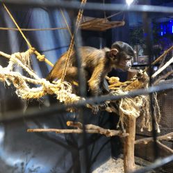 -酷嗒动物文化乐园(cutezoo西溪乐天城店)