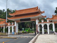 -深圳仙湖植物园