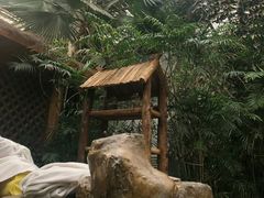 -龙达温泉生态城