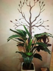 -FineYoga梵音瑜伽·普拉提