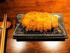 -山杏yama-katsu·吉列炸物