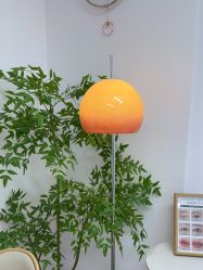 -变美丽半永久纹眉连锁·机器野生眉·洗眉