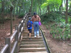 -上海佘山国家森林公园天马山园