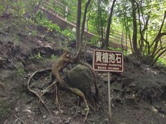 -野三坡清泉山风景区