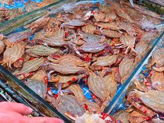 -恒达综合农贸市场(黄山路店)