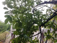 -苏州碑刻博物馆