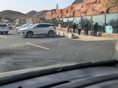 -新疆天山野生动物园