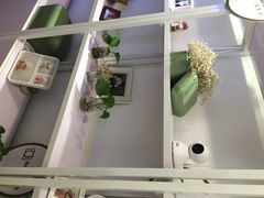 真我樣照像馆(环球港附近)-真我樣照相馆·身份证·证件照·外拍(环球港店)