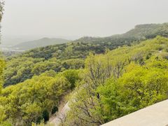 -北京西山国家森林公园