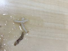 -福海面馆(阳曲店)