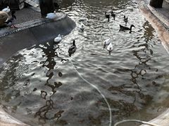 -珠海海泉湾神秘岛亲子乐园