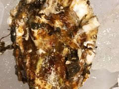 -蚝堡海鲜·威海菜·海肠捞饭·烧烤·亚洲吃蚝公司(幸福门店)