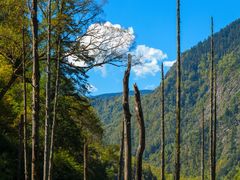 -叠溪松坪沟景区