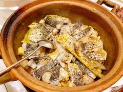 砂锅焗东海大黄鱼-人间采蜜(海信广场店)