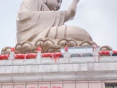 -龙口南山旅游景区