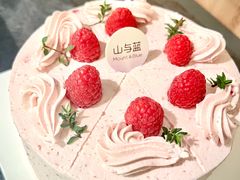 -山与蓝·轻糖鲜果蛋糕(勒泰店)
