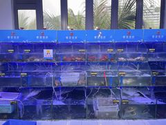 -蟹老板的海鲜