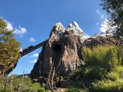 -奥兰多迪士尼动物王国乐园