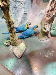 -Zoolung Zoolung动物主题公园(海信广场店)