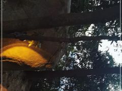 -火炉山森林公园