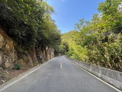 -雁南飞茶田景区