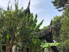 -花溪公园