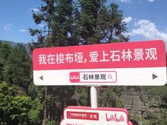 -梭布垭石林景区