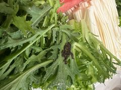 -吴忠民族饭庄(利通南街店)