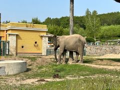 -哈尔滨北方森林动物园