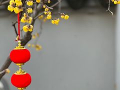 -无锡梅园公园