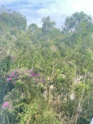 -爱丽馨御景月子中心