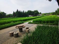-北坞公园