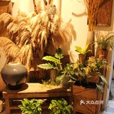 几何小院|满园植物配上精致下午茶这可能就是自然主义生活了吧！