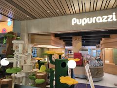 -帕帕拉兹宠物(亚洲旗舰店)