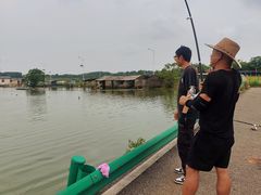 -梁子湖东篱老屋生态庄园