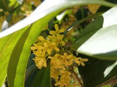-芜湖方特东方神画