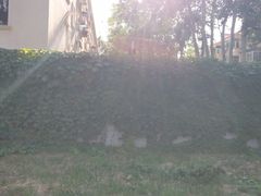-中国中医科学院西苑医院(本部)