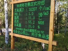 -汤旺河林海奇石景区