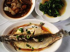 -小六农家乐(崇明西沙湿地店)