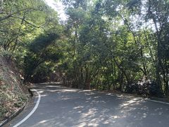 -大屏嶂森林公园