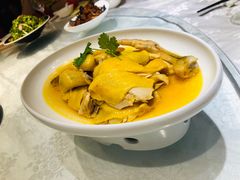 白斩散养草鸡-红城阁·上海味道(四平路店)