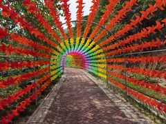 -广州白江湖森林公园