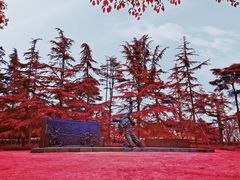 -上海市龙华烈士陵园