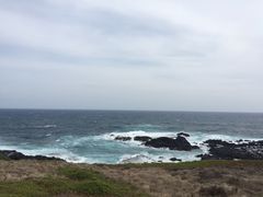 -企鹅岛