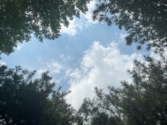 -太阳宫公园