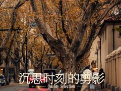 -月湖风景区