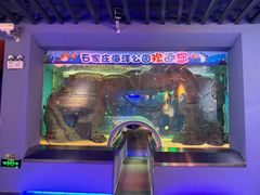 -石家庄海洋公园