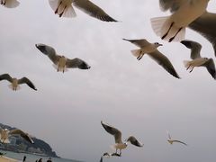 -海云台海滩