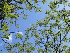 -北京西山国家森林公园