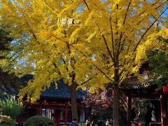 -碑林公园